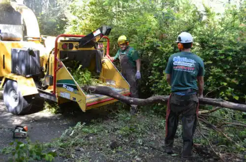 tree services Lipscomb